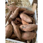 Patate douce Alsace (500 g)