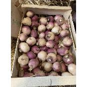 Navet violet bio Alsace (500 g)