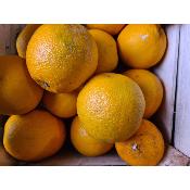 Orange  Sicile(1 kg)
